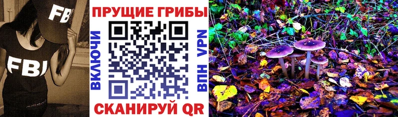 Купить закладки  Серпухов  Псилоцибиновые грибы MAGIC MUSHROOMS 